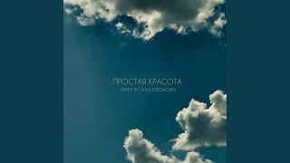 ПРОСТАЯ КРАСОТА (Remix by Ivan Stegachev)
