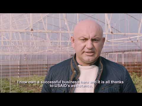 USAID-ის მხარდაჭერით შექმნილი სასათბურე მეურნეობა ცაიშში/USAID-supported Tsaishi greenhouse cluster