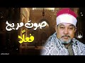 الشيخ السيد سعيد سورة يس والمزمل تلاوة أسطورية أبهرت الحاضرين 