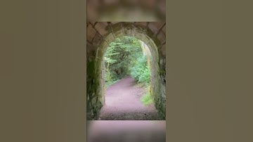 Walking Through this Ancient Tunnel #video #travel #trending #beautiful