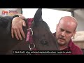 Preparing the racehorse: Equine physiotherapy | National Racehorse Week