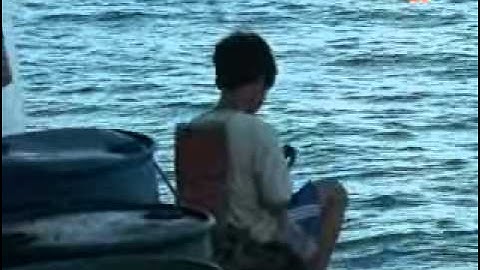 Đánh lưới đèn