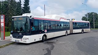 Jízda autobusem typu SOR NBG 18 ev.č 8950 na lince 601