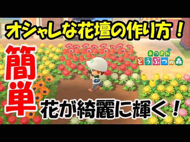 あつ森 まずはこれを見ろ レア花 青バラの交配で 誰でもできる超簡単な花壇の作り方 あつまれどうぶつの森 交配 青バラ 金バラ 緑キク Youtube