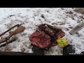 Охота на соболя с собакой Охота на соболя с собакой