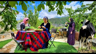 Günlük Kırsal Yaşam Köyde Kuzu Kaburga Ile Dolmeh Yapımı