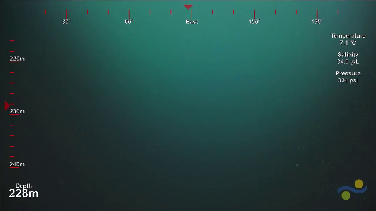 Underwater Photo
