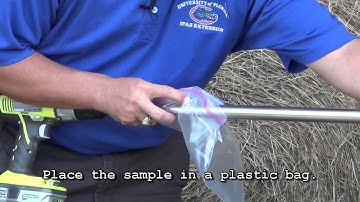 How to Take a Hay Sample