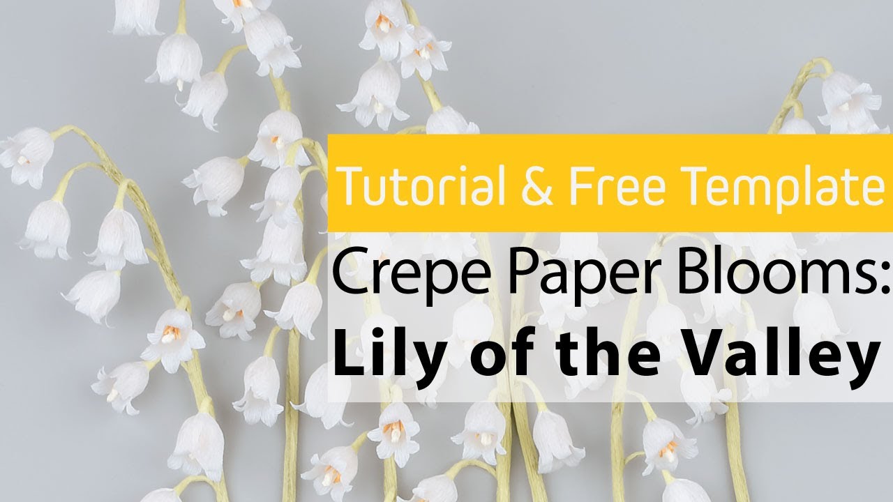 [Free Template & Tutorial] Crepe Paper Blooms #3:Lily of the Valley 주름지꽃 은방울꽃만들기 crepe paper flowers