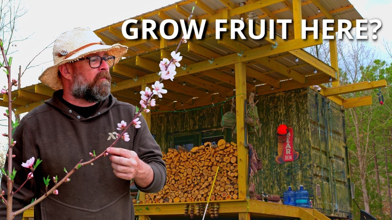 Simple Living in the Ouachita Mountains I Off-Grid Fruit Trees & Rainwater Harvesting