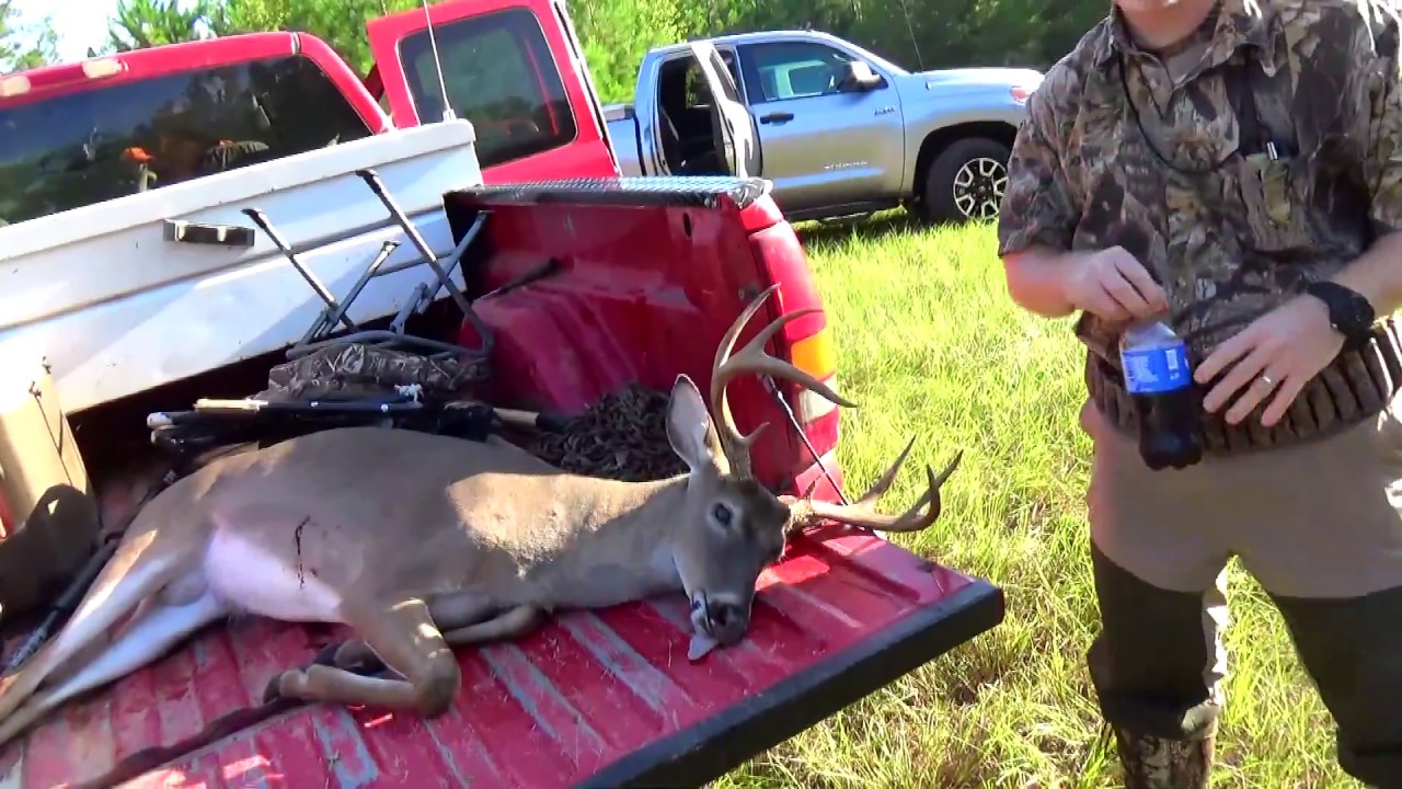 SC Deer Dog Drives 2017! The Phelps Track on Labor Day! YouTube