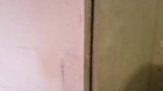 Sick and twisted, Napa state hospital
