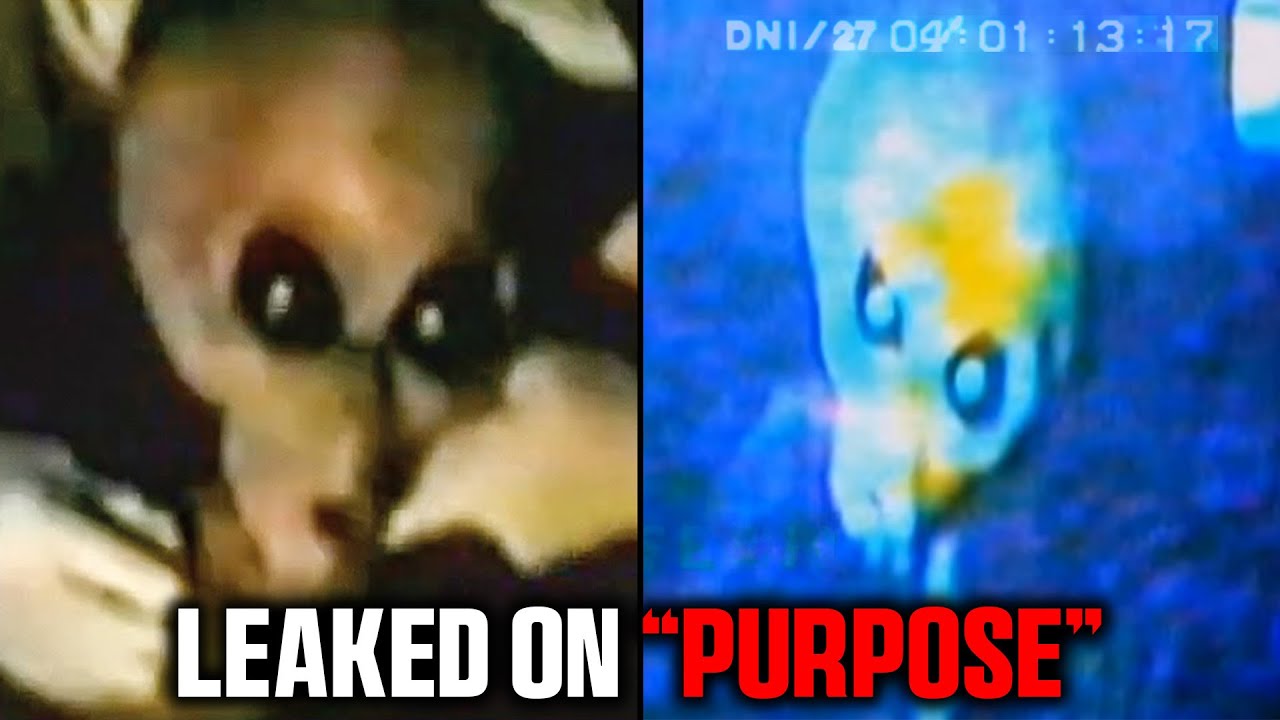 Pentagon Leak Reveals Alien Presence: Scientists Uncover Shocking Evidence - YouTube