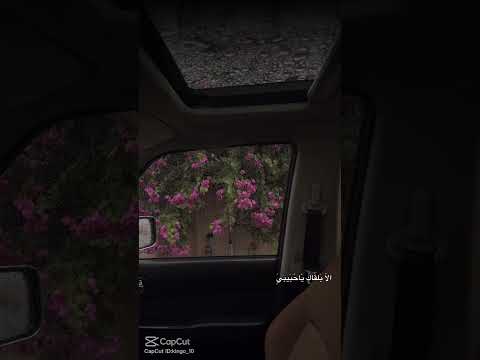 وبقلبي تعال كفي نومك