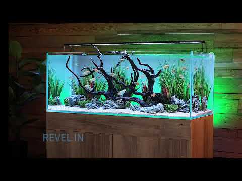 Serene 65 Freshwater Aquarium System with A.S. Designs Aquascape