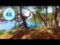 4K Virtual Hike - Juan De Fuca - Coast Trail