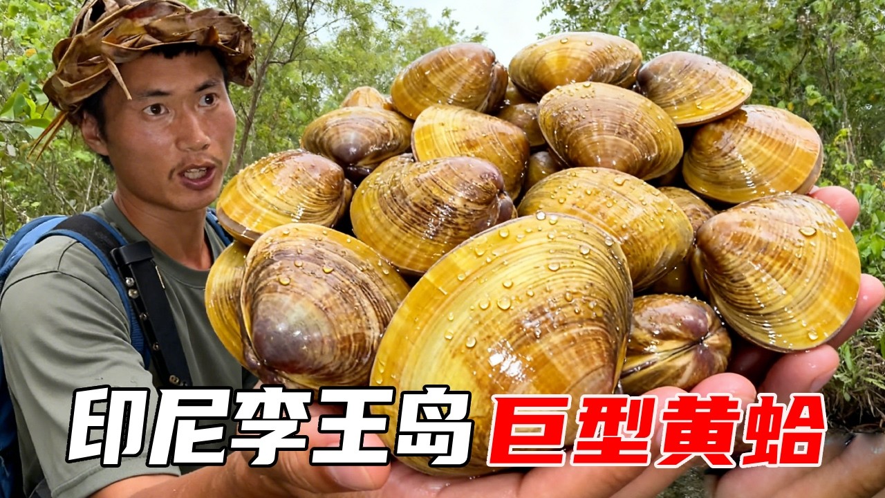 印尼李王岛荒岛生存（下）：岛上天气突变被迫前往黑水坑，意外捡到黄蛤，味道鲜美送给美女队友【户外平头哥】