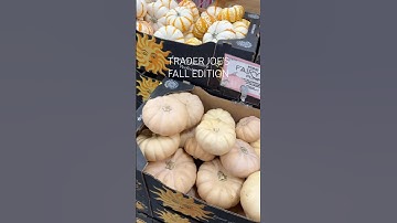 Trader Joe’s with the Fall Favs🍃🍁. #TraderJoes #traderjoesfinds