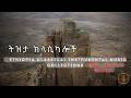ትዝታ ክላሲካሎች Ethiopian Tizita Instrumental Music Peaceful Habesha Classical Sounds 