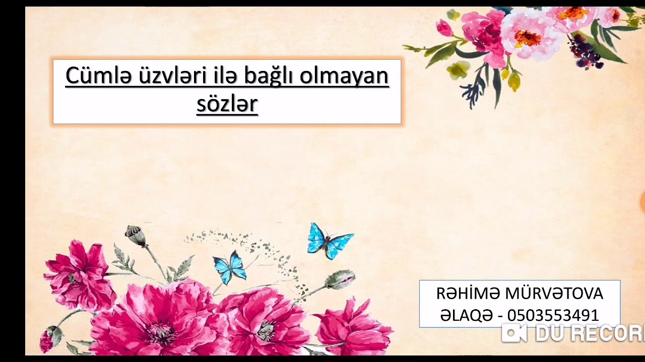 Xitab və ara sözlər + izahlı testlər
