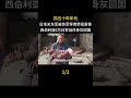 四五十年年代,日本關東軍被蘇軍俘虜勞役錄像 ,西伯利亞6萬日軍戰俘骨灰回國#珍貴影像 #老視頻
