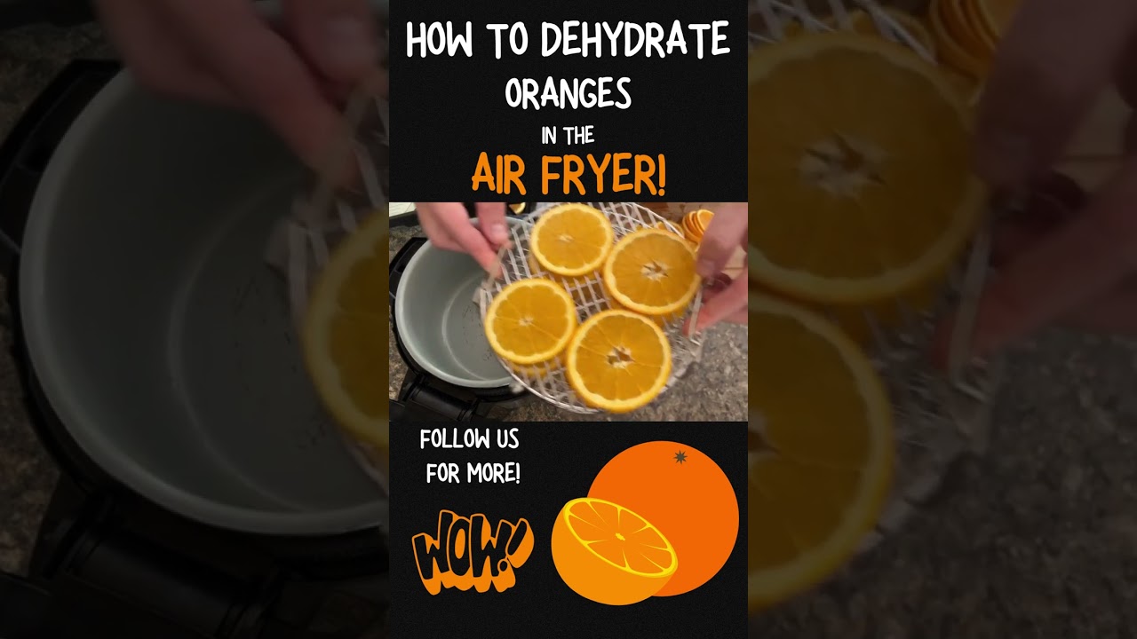 Air fryer oranges  dehydrated orange slices Air fryer recipes SecondRecipe