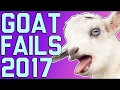 Ailamalia #Funny Goats: Screaming Is Optional (March 2017) || FailArmy