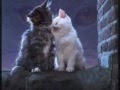 Miniature de la vidéo de la chanson Le Chat