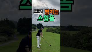 프로 뺨치는 스윙폼