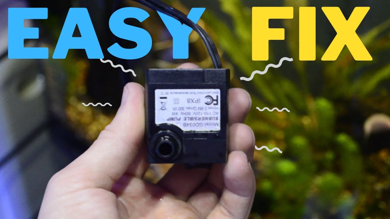 EASIEST Way to clean and fix a noisy aquarium water pump - YouTube