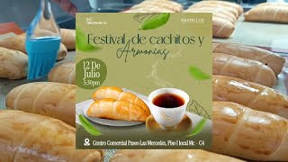 Festival De Cachitos Y Armonías En Pastellus