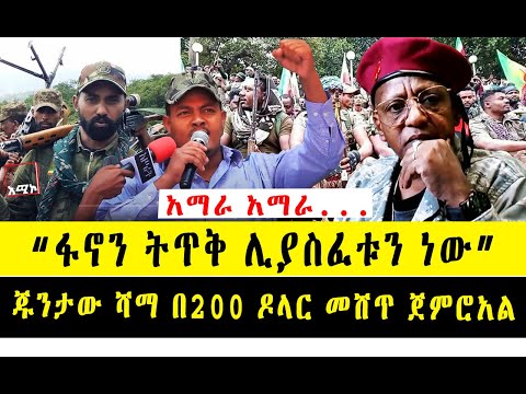 ቪዲዮ: በንጉሣዊው መንግሥት ጥበቃ ላይ አጭበርባሪዎች - ከመግደል አምልጠናል የሚሉት ሐሰተኛ ሮማኖቭስ እነማን ነበሩ?