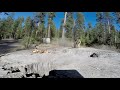 CHIPMUNK on tee stump