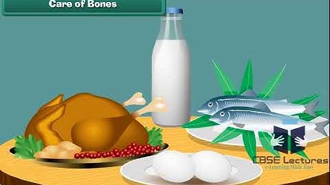 Bones and Muscles Class 5 Science by CBSE Lectures