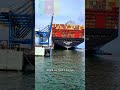 Le Cameroun entre dans la cour des grands. #Cameroon #Kribi #Economie #Afrique #Port#MSC #Investment