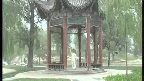 Master Alex Dong taiji video