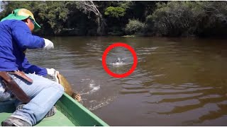 10 Unexpected Scary Animal Encounters Caught on Camera