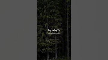 أَمَّنْ هُوَ قَانِتٌ آنَاءَ اللَّيْلِ سَاجِدًا وَقَائِمًا… #ياسر_الدوسري من سورة الزمر