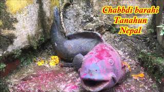 माछै माछाको मन्दिर छाब्दि बाराही | the temple of the fish god | Chhabdi Tanahun ??| Bikash Rana