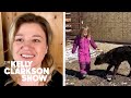 Kelly Clarkson's Daughter Befriends Newborn Calf In Sweet Video | Digital Exclusive