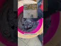 Битая литка 🛑 всего 30 тенге за кг!