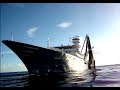 PANAMA TUNA - Atunero cerquero congelador - Fishing vessel part 5