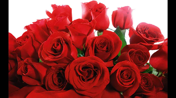 Kirsten Valentine's Day Video