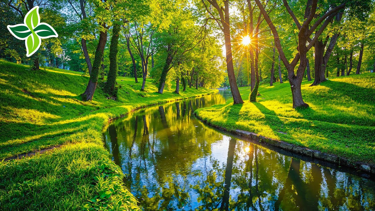 Нежная музыка здоровья 🌿 Успокаивает нервы, лечит сердце и дарит глубокий релакс #1