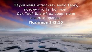 8 мая 2024 г.