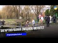 Загартовування: як зміцнити імунітет та не нашкодити здоров'ю