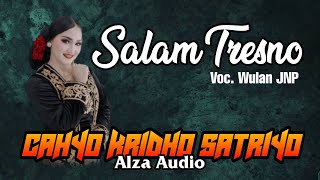 TRESNO RABAKAL ILYANG (SALAM TRESNO) versi jaranan CAHYO KRIDHO SATRIYO - ALZA AUDIO