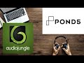 The Difference Between Pond5 And Audiojungle