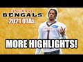 Bengals OTAs Highlights | Clips of Joe Burrow, Ja'Marr Chase and More!