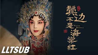 [THAISUB] บีโกเนียแห่งเหมันต์ (Winter Begonia)  陸虎 - 鬢邊不是海棠紅 | เพลงจีนแปลไทย
